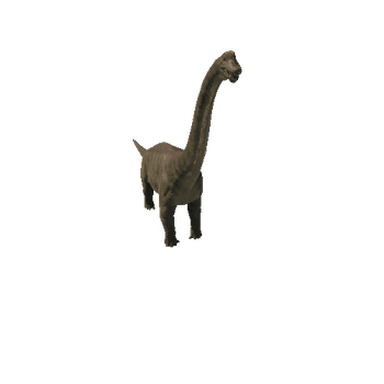 Brachiosaurus Variant3